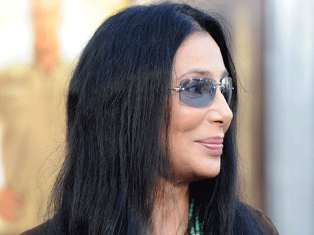 cher.gif 