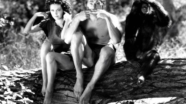 tarzan_escapes.jpg