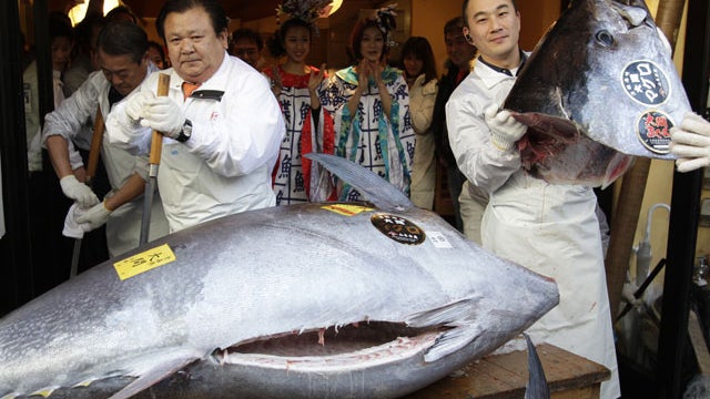 Tuna.jpg 