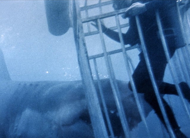 SM_Spielberg_Jaws.jpg