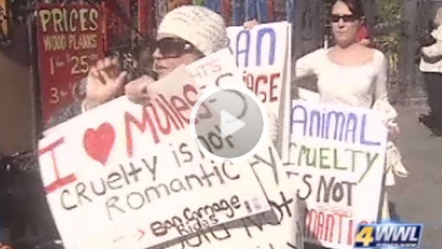 mule-protest-wwl.jpg 