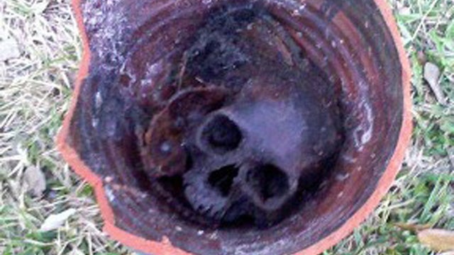 skull-found-in-hollywood-lake.jpg 