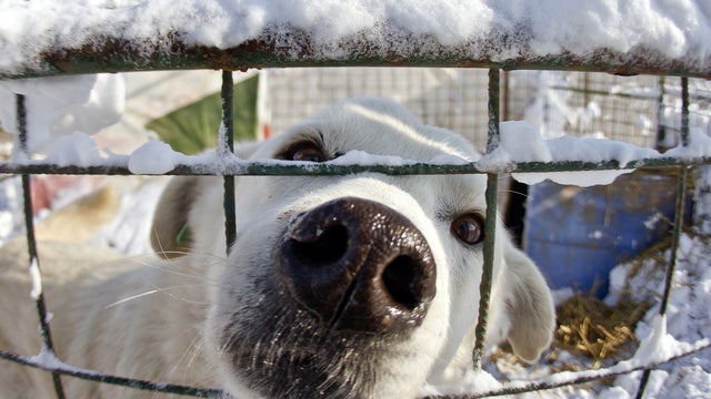 cold_AP120130018605.jpg 