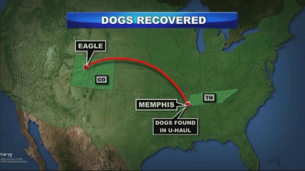 Dogs Map 