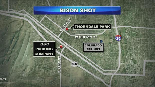 Bison Shot Map 