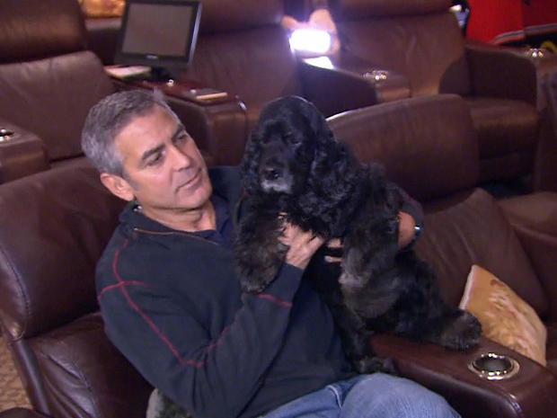 038-Clooney-w-dog-Einstein-.jpg 