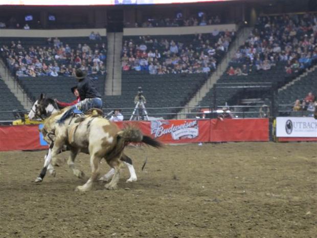 worlds-toughest-rodeo-2012-098.jpg 