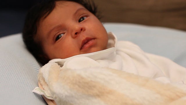 BlueIvy2.jpg 