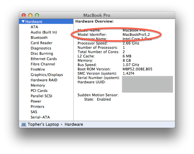System Profiler showing Mac model number 