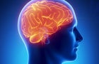 Human brain glowing lateral view 