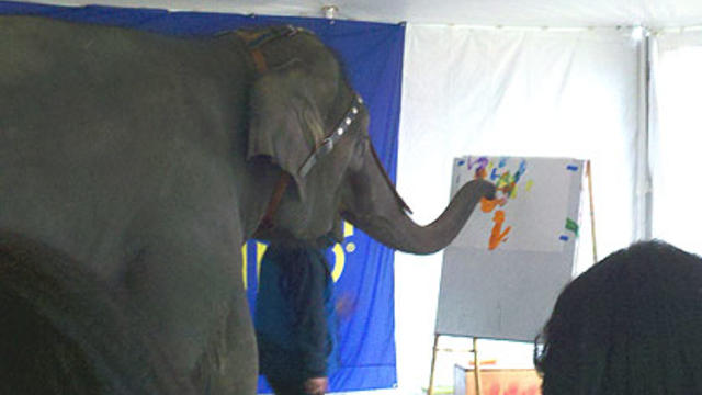 elephant-paint-show-geary_colleen.jpg 