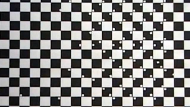 optical illusion 