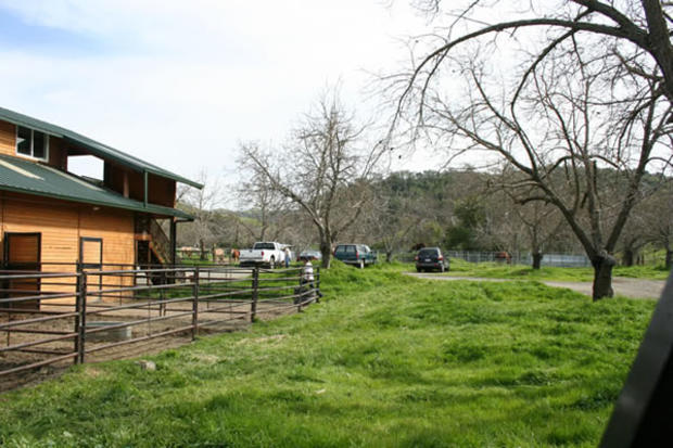 isabella Farms Horse 