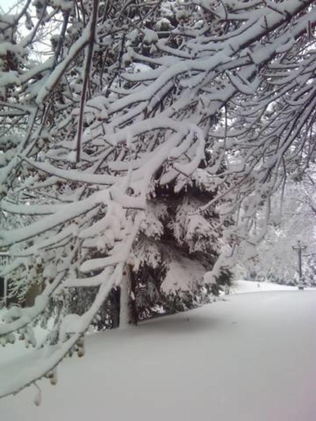 2-29-snow_sharon-domholt_maple-grove.jpg 