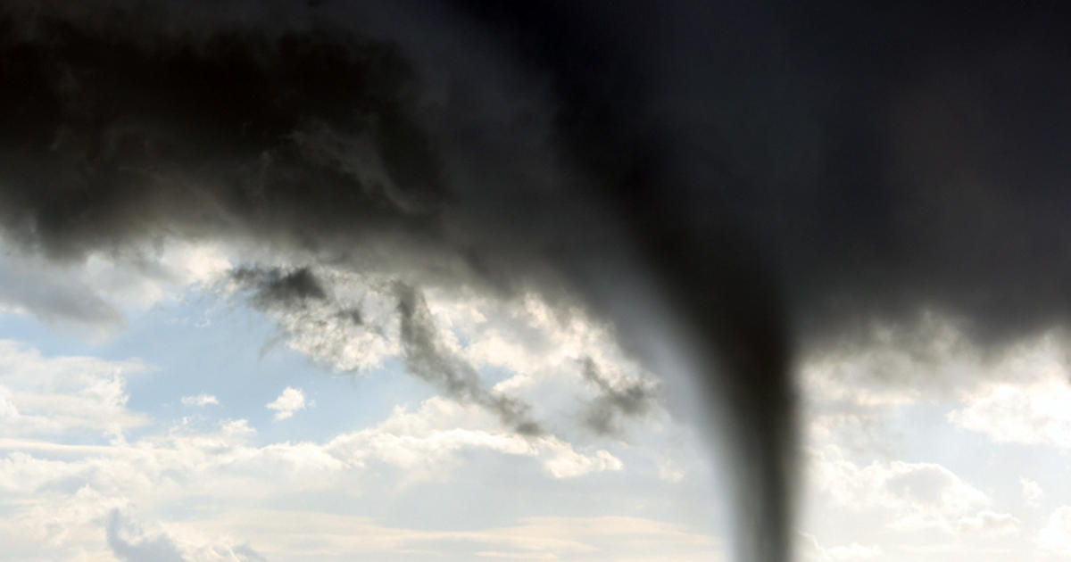 What to do in the occasion of a twister? These security strategies could conserve your life