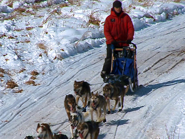 Dogsled Petition Delivery 