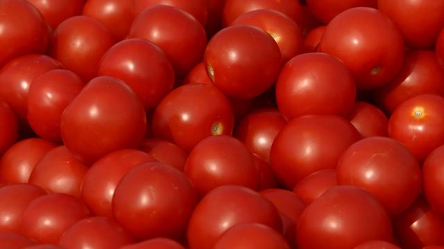 tomatoes-generic.jpg 