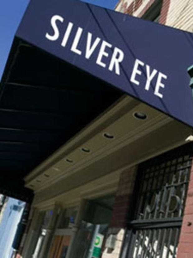Silver Eye 