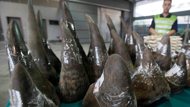 Customs officers stand guard near seized rhino horns  