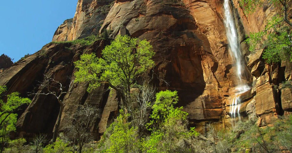 Nature: A glimpse of springtime in Utah - CBS News