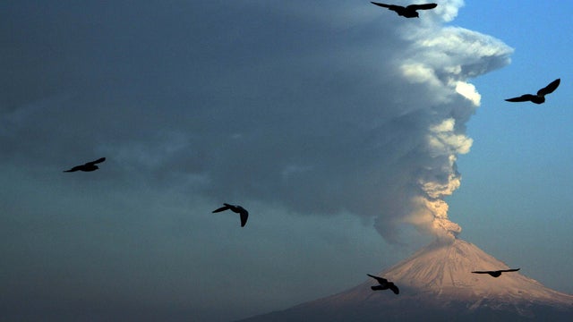 Birds fly in the foreground of Popocatepetl volcano as seen from San Andres Cholula, Mexico, April 18, 2012 