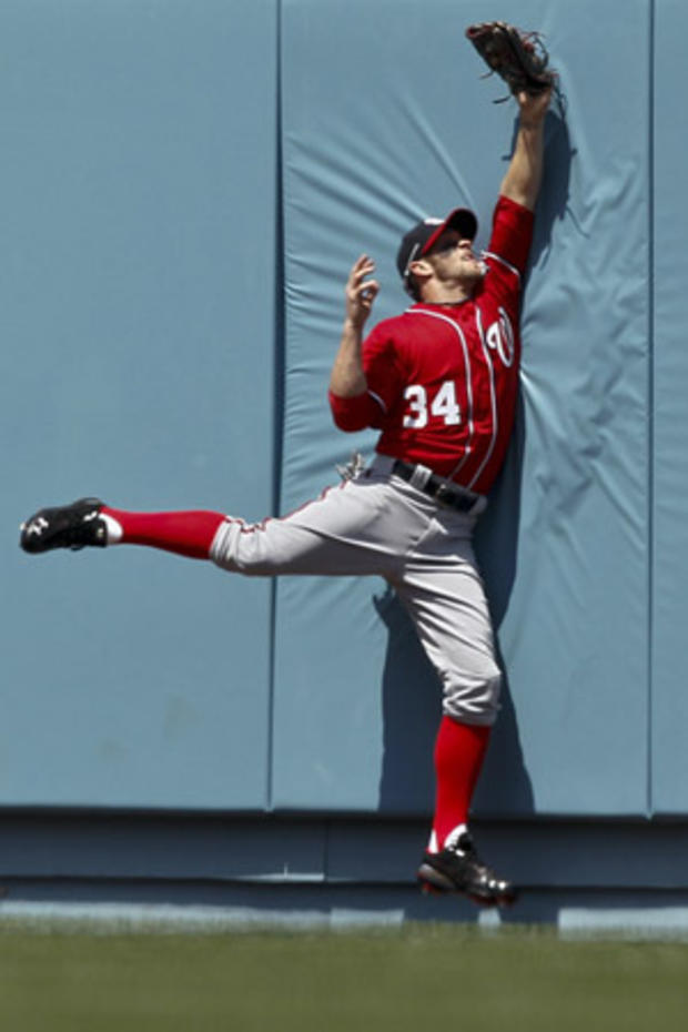 Bryce Harper catches a fly ball  