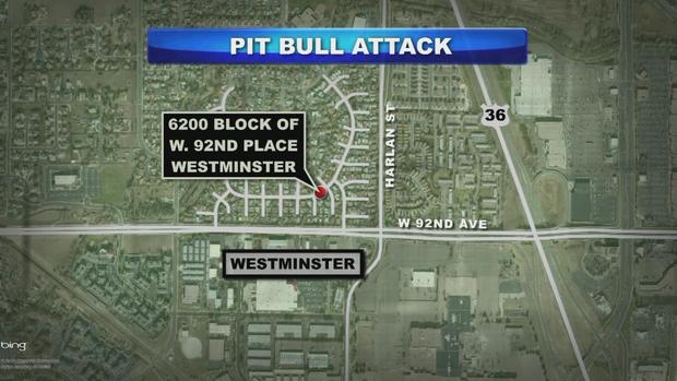 Pit Bull Attack Map 