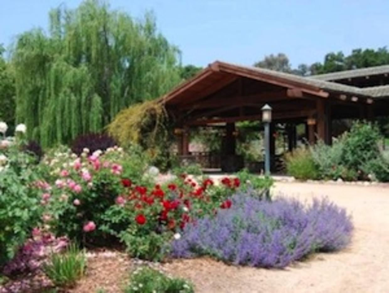 Guide To Descanso Gardens CBS Los Angeles