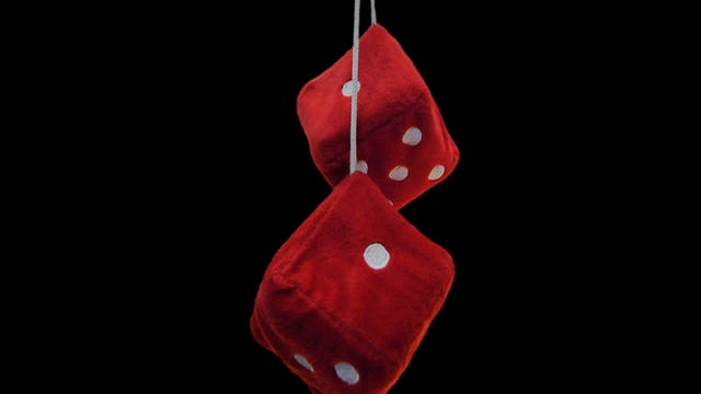 fuzzy_dice.jpg 