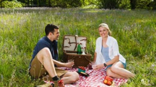 picnic-couple.jpg 