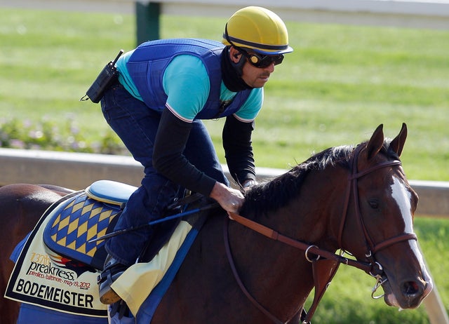 George Alvarez rides Preakness hopeful Bodemeister 