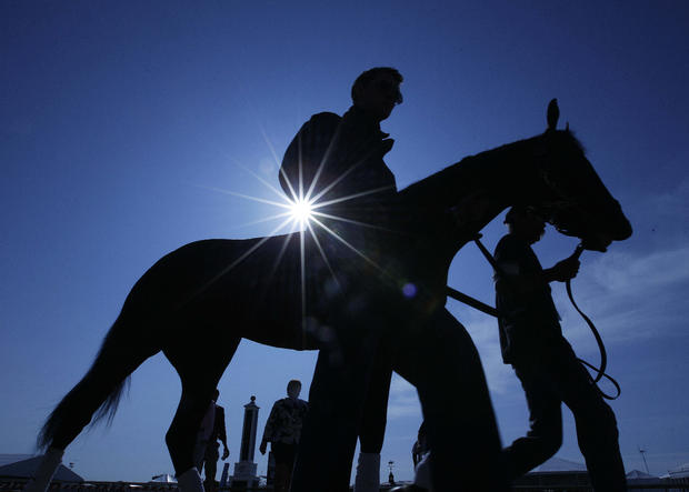 An exercise rider and horse are lead off the track after a morning workout  