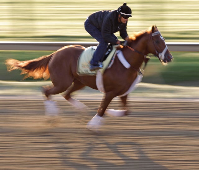 Johnny Garcia rides Preakness Stakes entrant I'll Have Another 