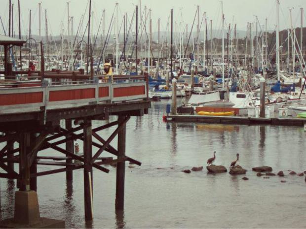 Fisherman's Wharf 