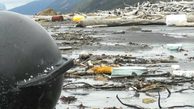 Tsunami debris hitting Alaska 