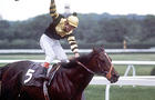 Seattle Slew, with jockey Jean Cruget aboard, wins the Belmont Stakes June 11, 1977, in Elmont, N.Y. 