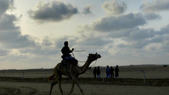 A Bedouin rides a camel during the 10th Arabic Camel racing festival in al-Arish, Egypt, Aug. 29, 2006. 