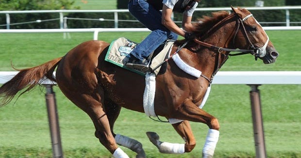 Loose horse nearly slams into Triple Crown hopeful I'll Have Another at