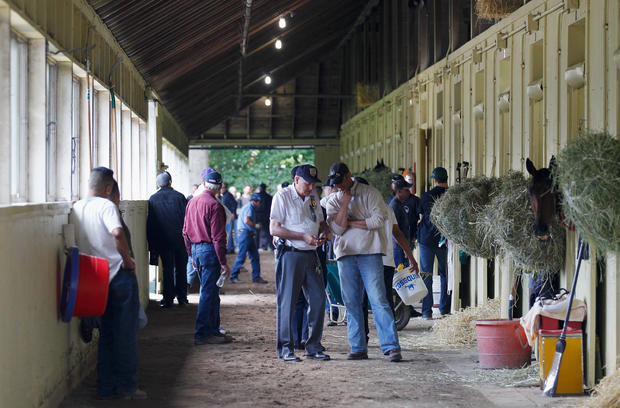 Security and barn personnel stand in the shed row 