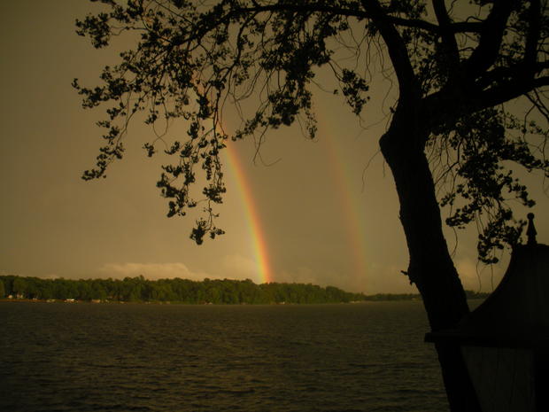 alexandria-rainbow-2.jpg 