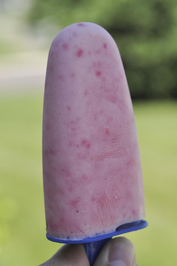 Strawberry Yogurt Pops Crystal Grobe Bite Of Minnesota 