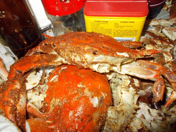 crabs11.jpg 