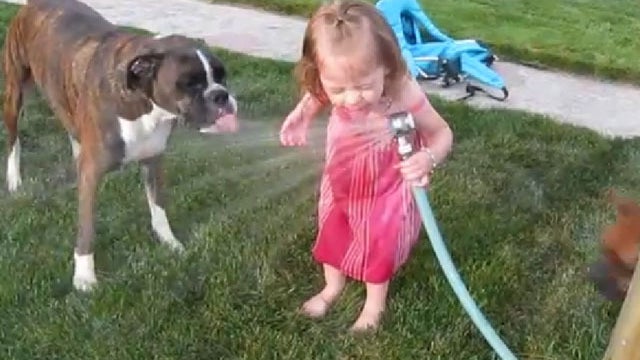 dog and girl drinking from garden hose 