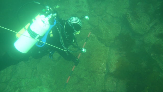 Remnants of Doggerland 