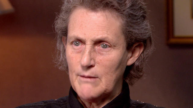 Temple Grandin: Understanding autism 