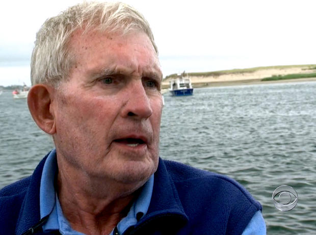 Capt. David Murdoch, who operates boat tours on the Cape Cod shore, said thousands of seals could be attracting sharks to the area. 