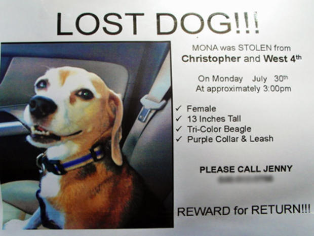 Mona missing dog flier 
