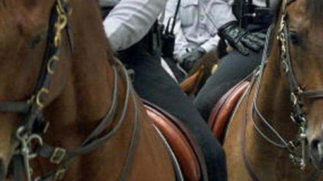 police-horse.jpg 