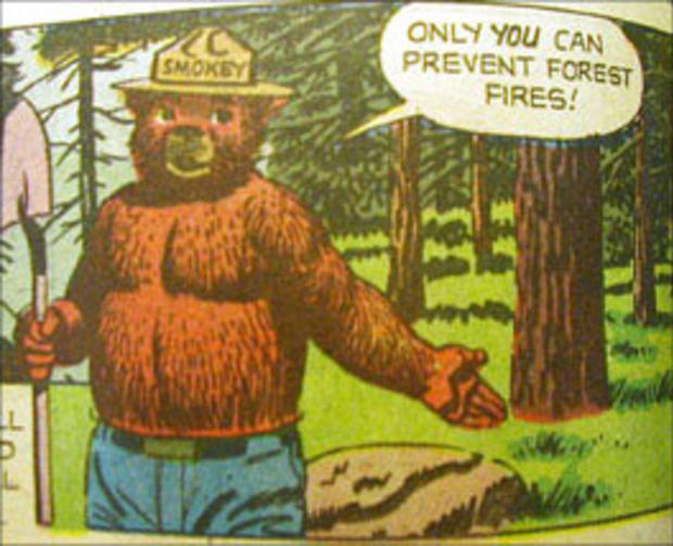 only-you-can-prevent-forest-fires-comic-1960.jpg 