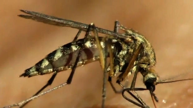 Dallas officials spraying to stop West Nile Virus 